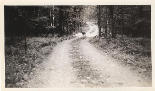 RosieBackRdLakeT1939