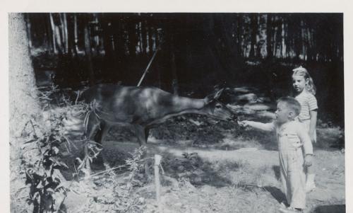 1948 Bambi Teddy and Janet