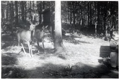 1948 October Bambi and Philene and Ted
