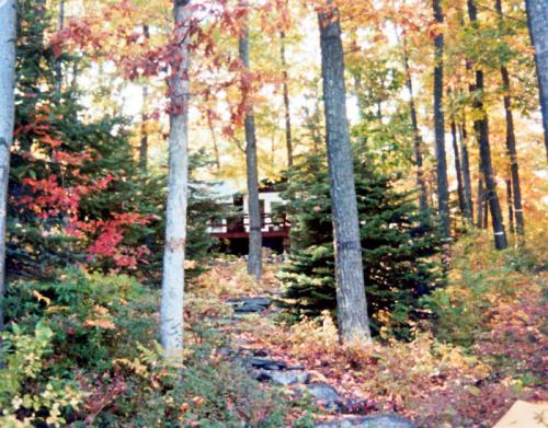1982 October Looking up from Lake towards house